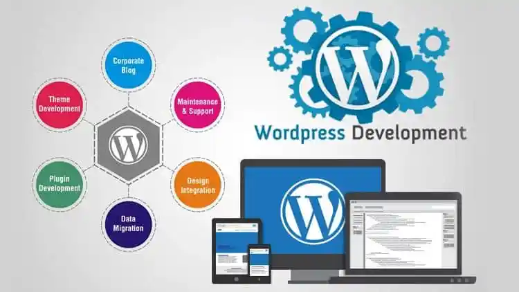 WordPress Design Company